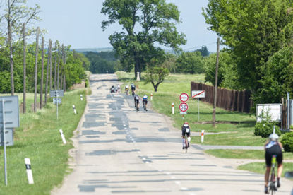 PALAVA_cta-41.jpg
